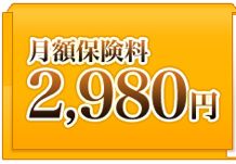 月額2,980円